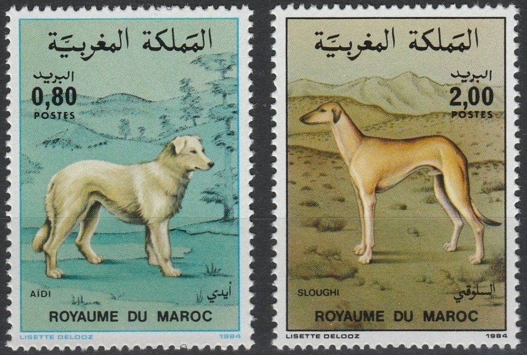 Tutti i francobolli: Marokko 1984 Hunde postfrisch – Nuovo (secondo la descrizione) da Lausanne venduto da dsi_7l2q