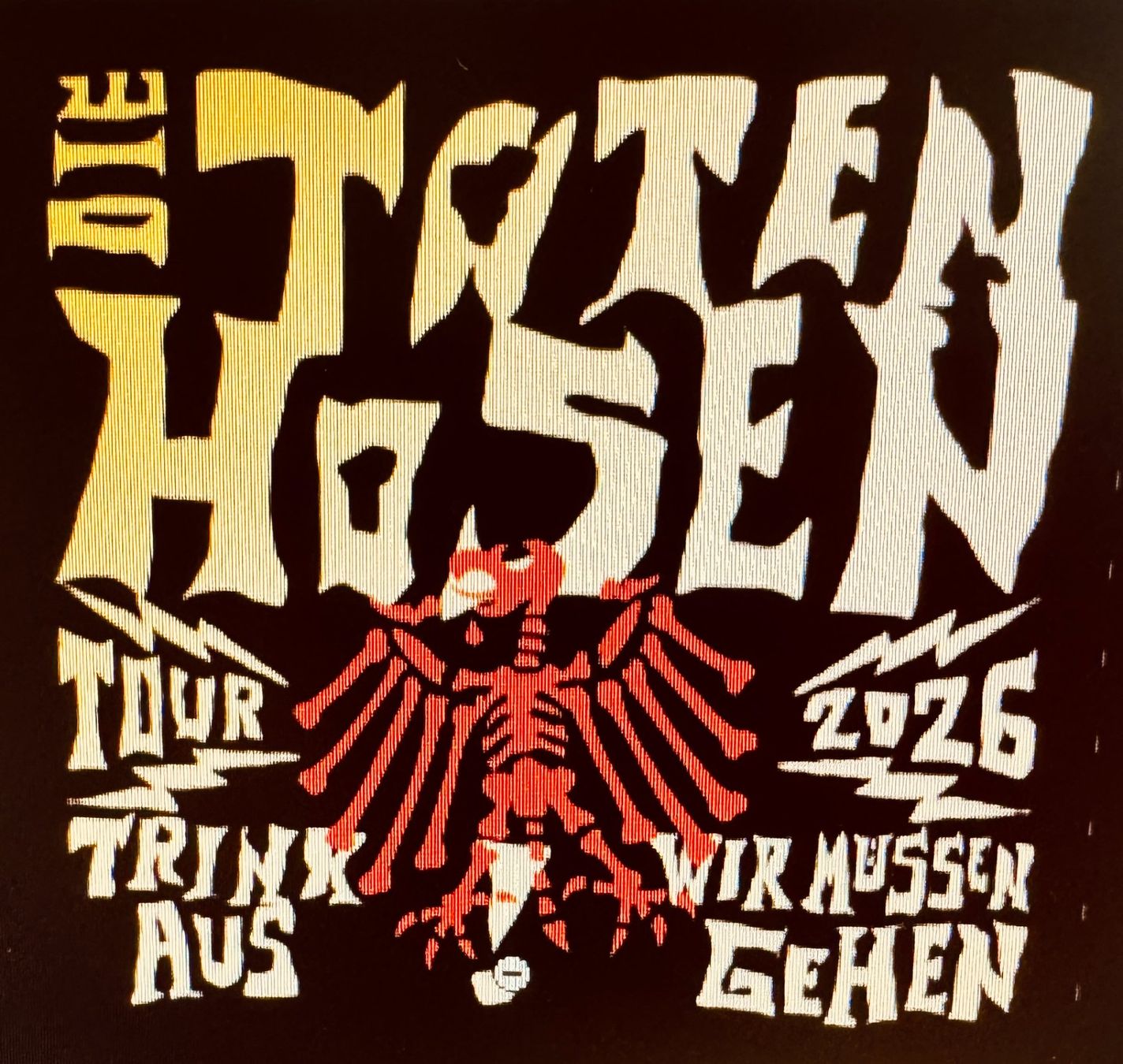 Biglietti: Die Toten Hosen – Nuovo e nell'imballaggio originale da Niederhasli venduto da Maus73