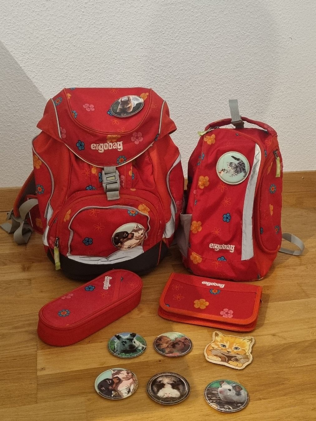 Ergobag Kindertaschen: Ergobag Schulranzen mit Turnsack, Etuis und Accessoires – Gebraucht aus Bern von nagybaly