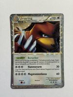 Pokemon Ursaring Holo 089/095 DE