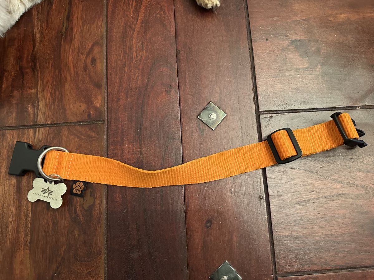 Guinzagli & Collari: Hundehalsband Alpha orange  – Usato da Bern venduto da Ruhrallee 2