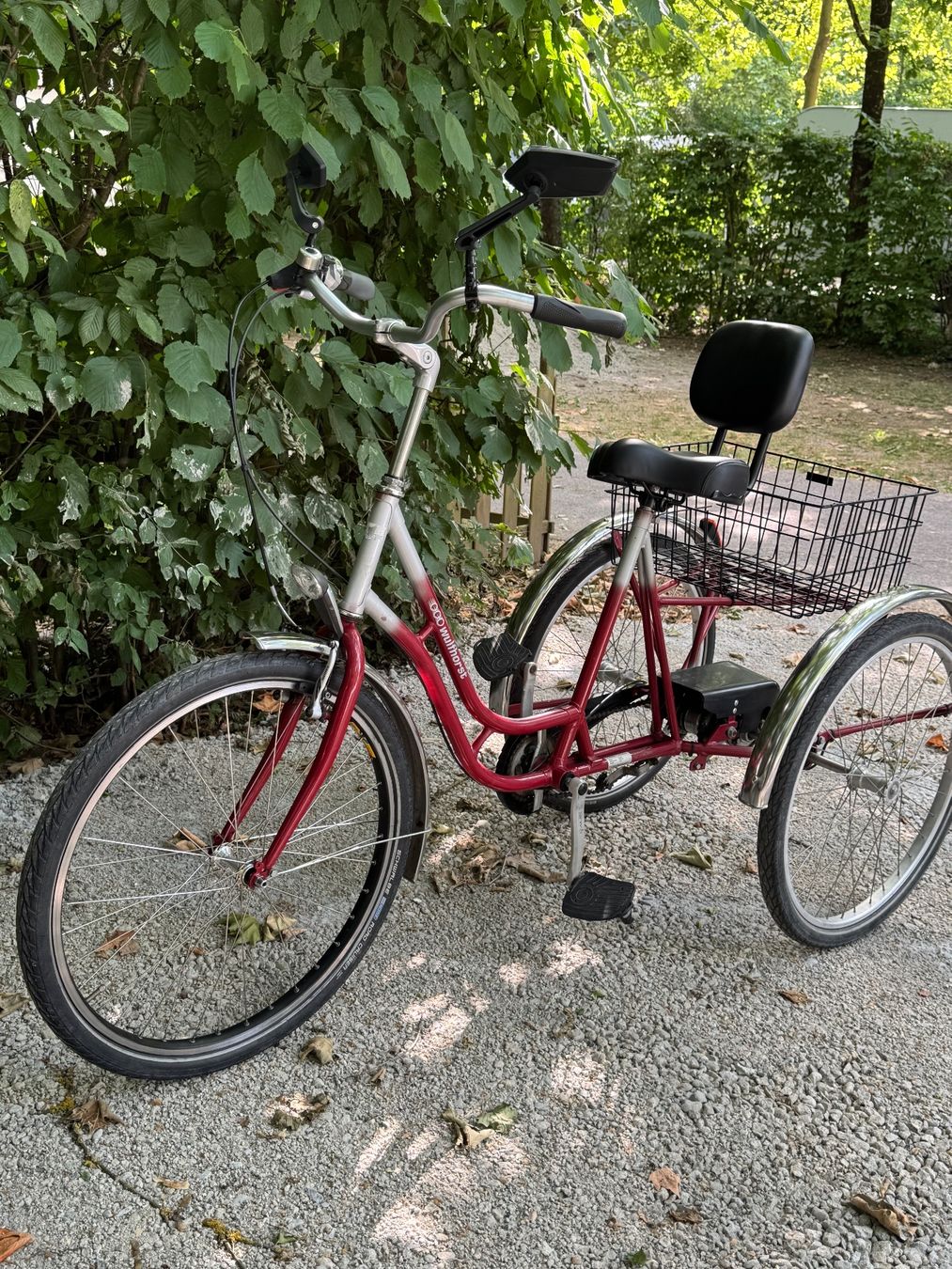 Vélos: Tricycle – D'occasion à Satigny par vaz_c965