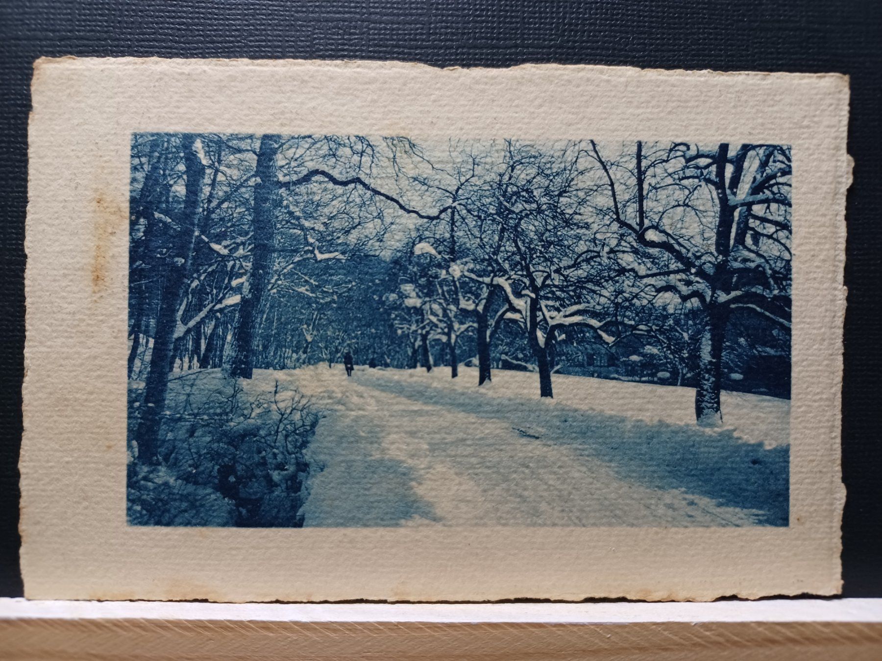 Ansichtskarten: ZH, Winterlandschaft, wo, Stempel Birmensdorf – Gebraucht aus Aarau Rohr von mgvw