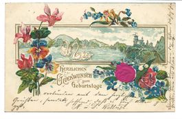 Samt- und Seiden-Applikation - Rose - Geburtstag Litho  1901
