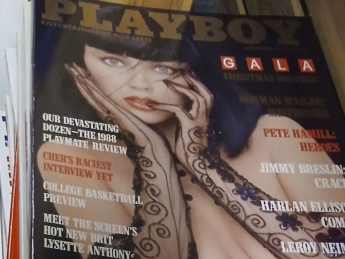 Zeitschriften & Magazine: 110 magazines Playboy – Gebraucht aus Le Grand-Saconnex von Rgt87
