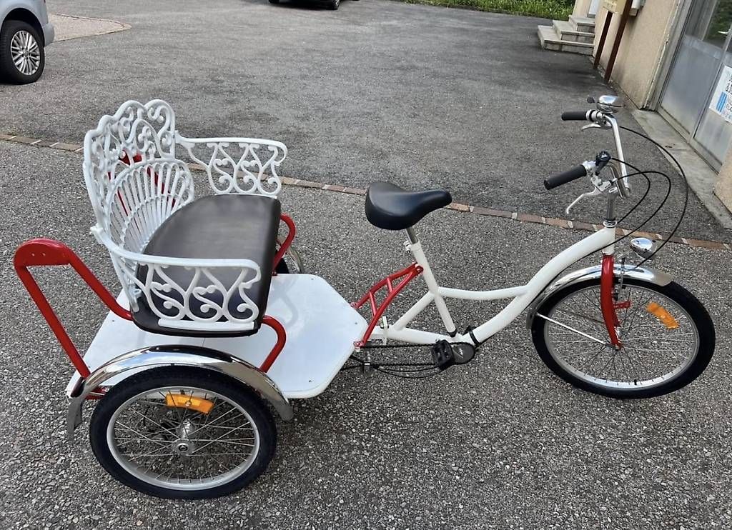 Biciclette: Unica bicicletta tre ruote  – Usato da Quartino venduto da DiloUsato 1