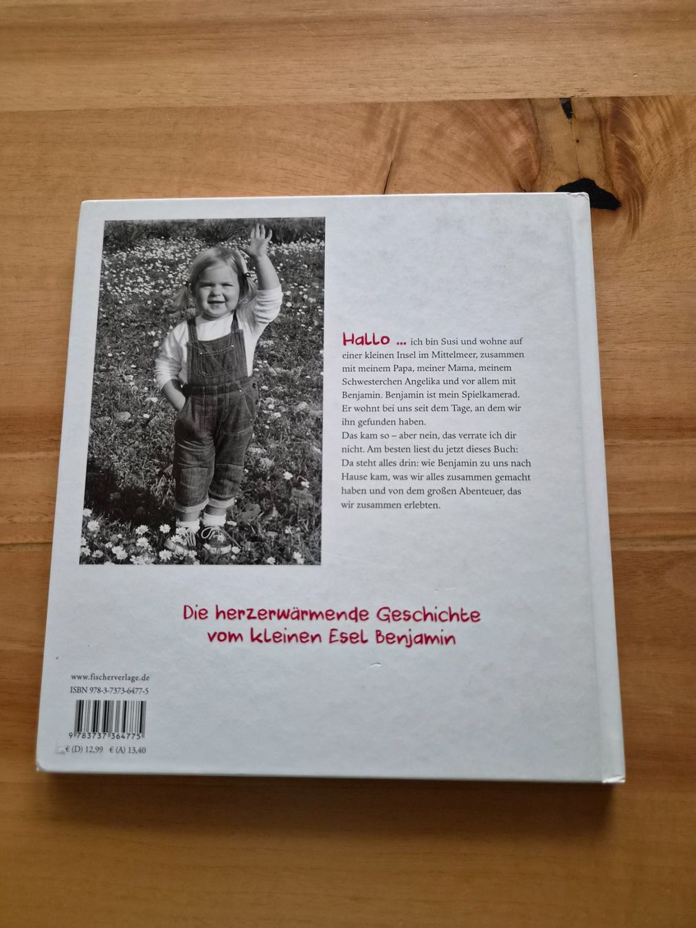Libri: Buch Mein Esel Benjamin von Hans Limmer – Usato da Ibach venduto da urs_sl5h 1