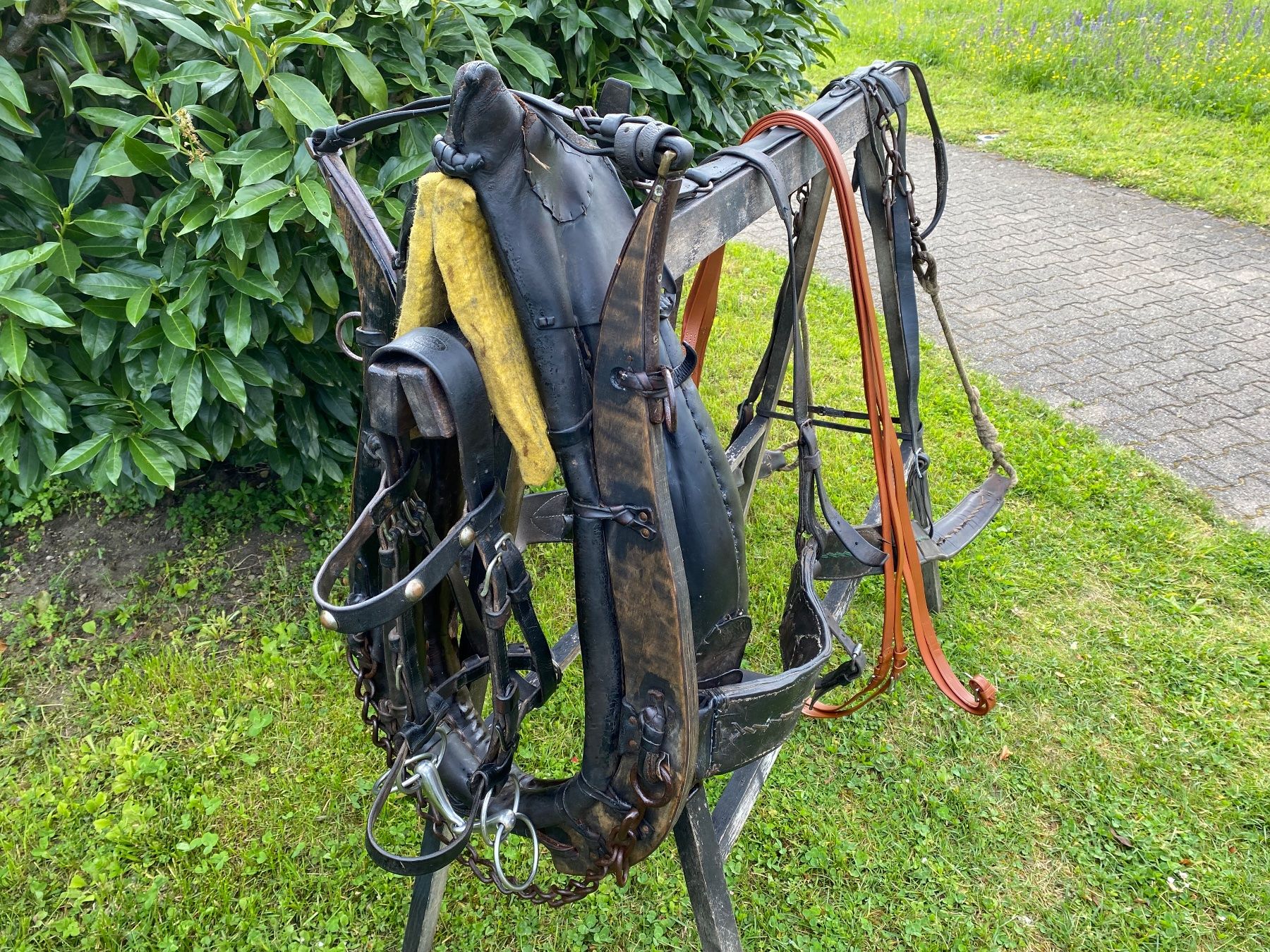 Campanacci mucche: schönes Bündnergeschirr – Usato da Feldbach venduto da Fea1 7