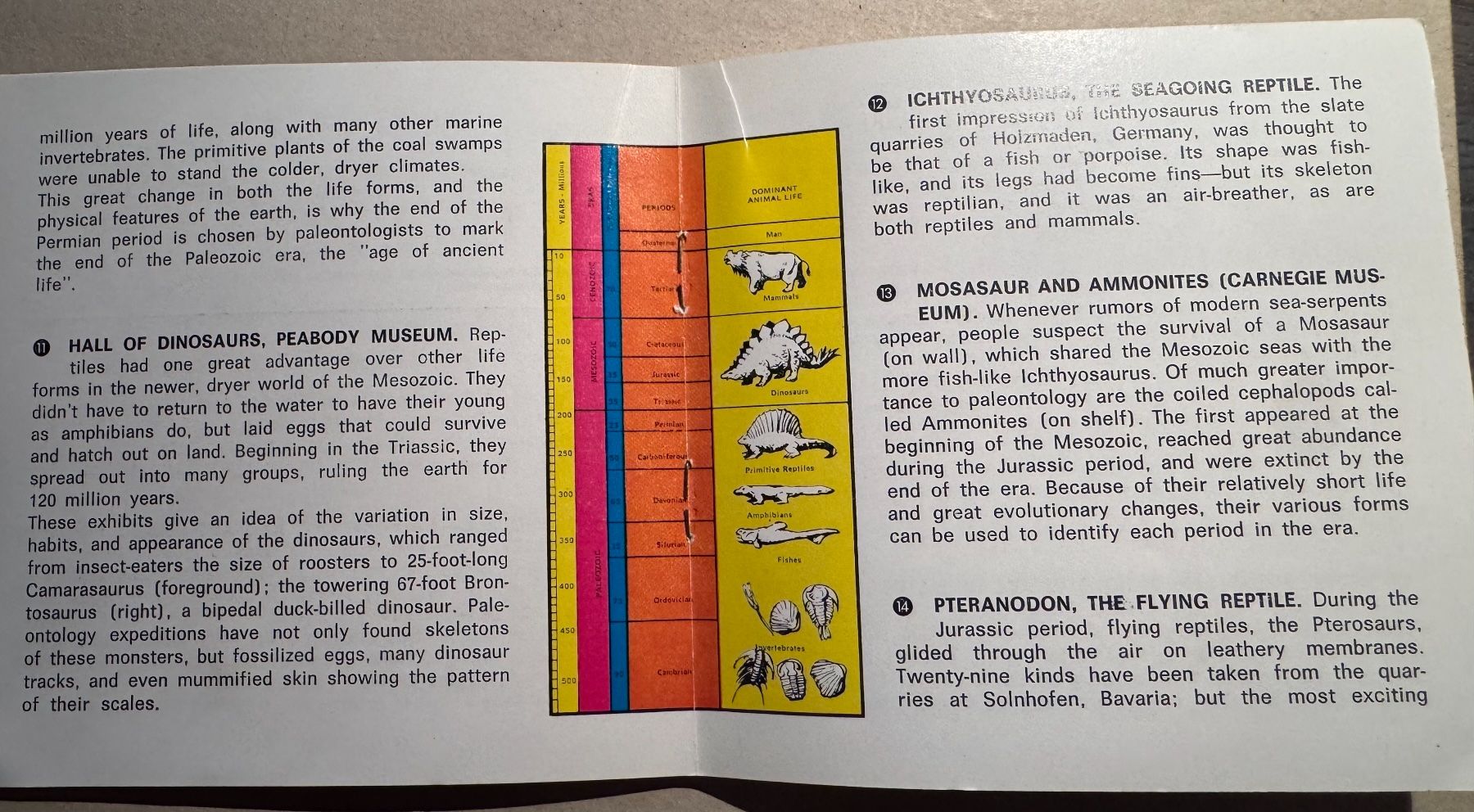 View-master Spielzeuge: View-Master 3D: Nr. B-676 PREHISTORIC LIFE – Gebraucht aus Tegerfelden von siebenmacky 4