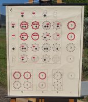 Vintage Schulwandbild "Schema Dihybrid intermediär" #f4