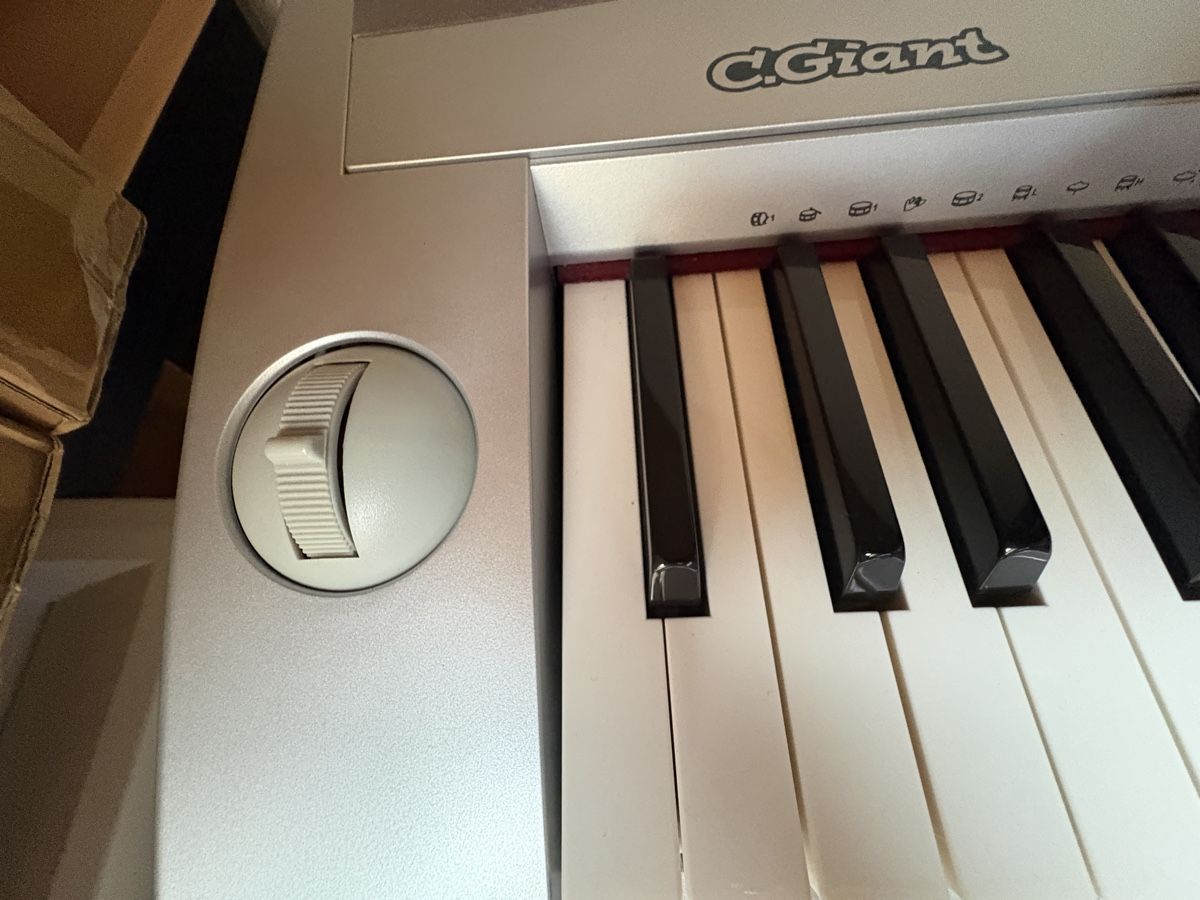 C.Giant Strumenti musicali: ePiano C.Giant – Usato da Grenchen venduto da Schwasie1 2