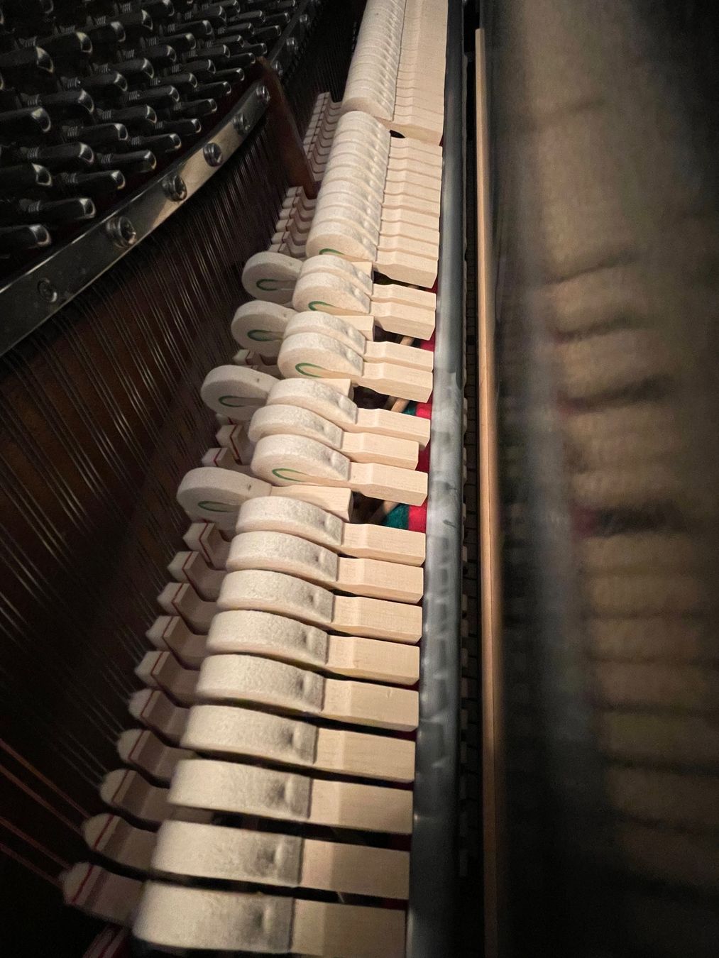 Strumenti musicali: Sauter Klavier Carus – Usato da Trogen venduto da choropax 4