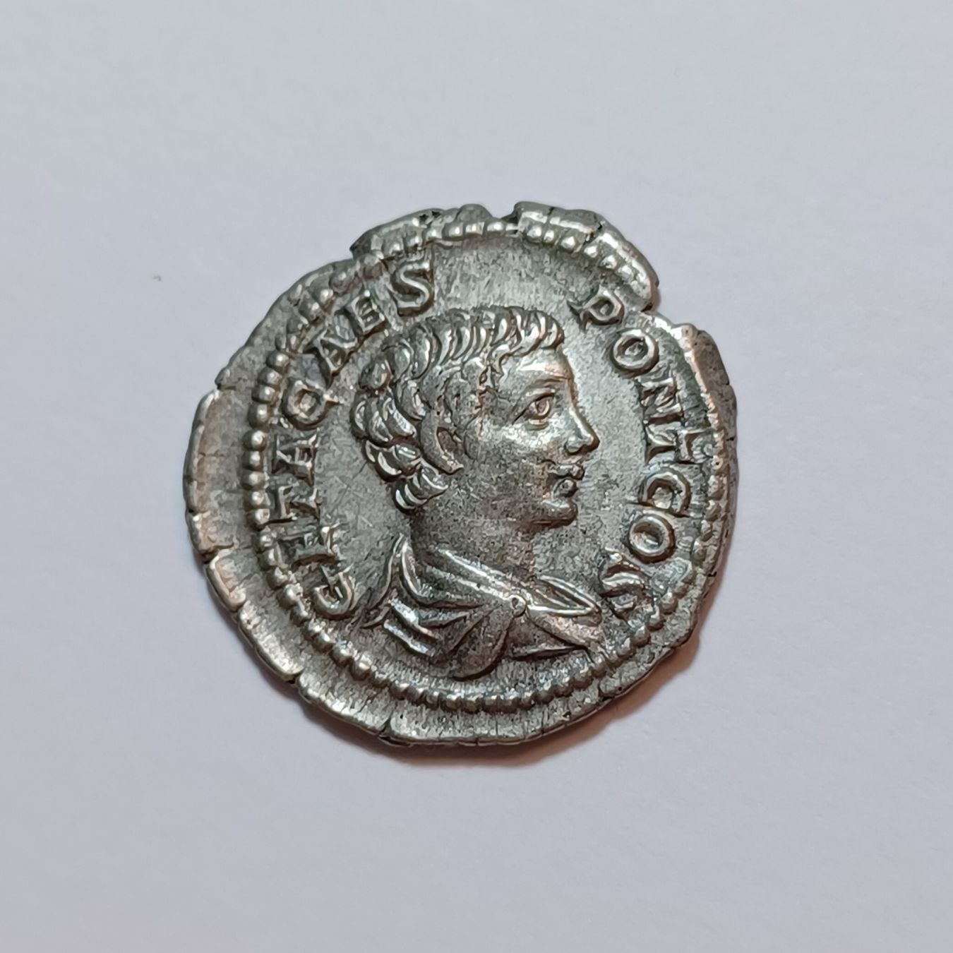 Alle Münzen: Denarius Geta (209-211) Römisches Reich – Gebraucht aus Pfäffikon ZH von Antike_Muenzen