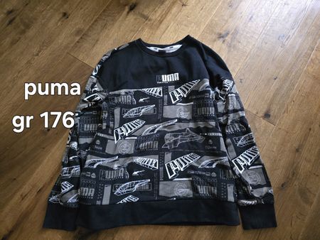 puma pullover kinder
