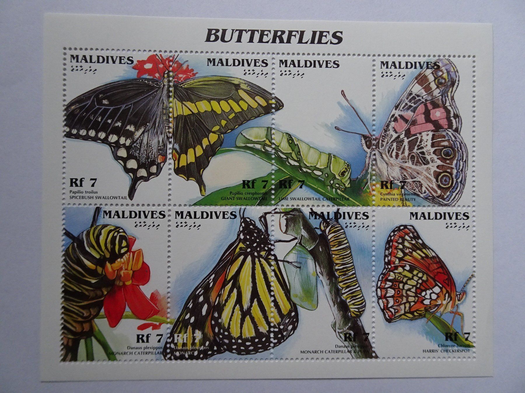 Tous les timbres: Maldives – Neuf (Voir description) à Aadorf par Chnorli-Furz