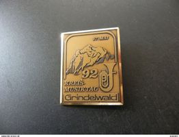 Abzeichen Musiktag Grindelwald 1992