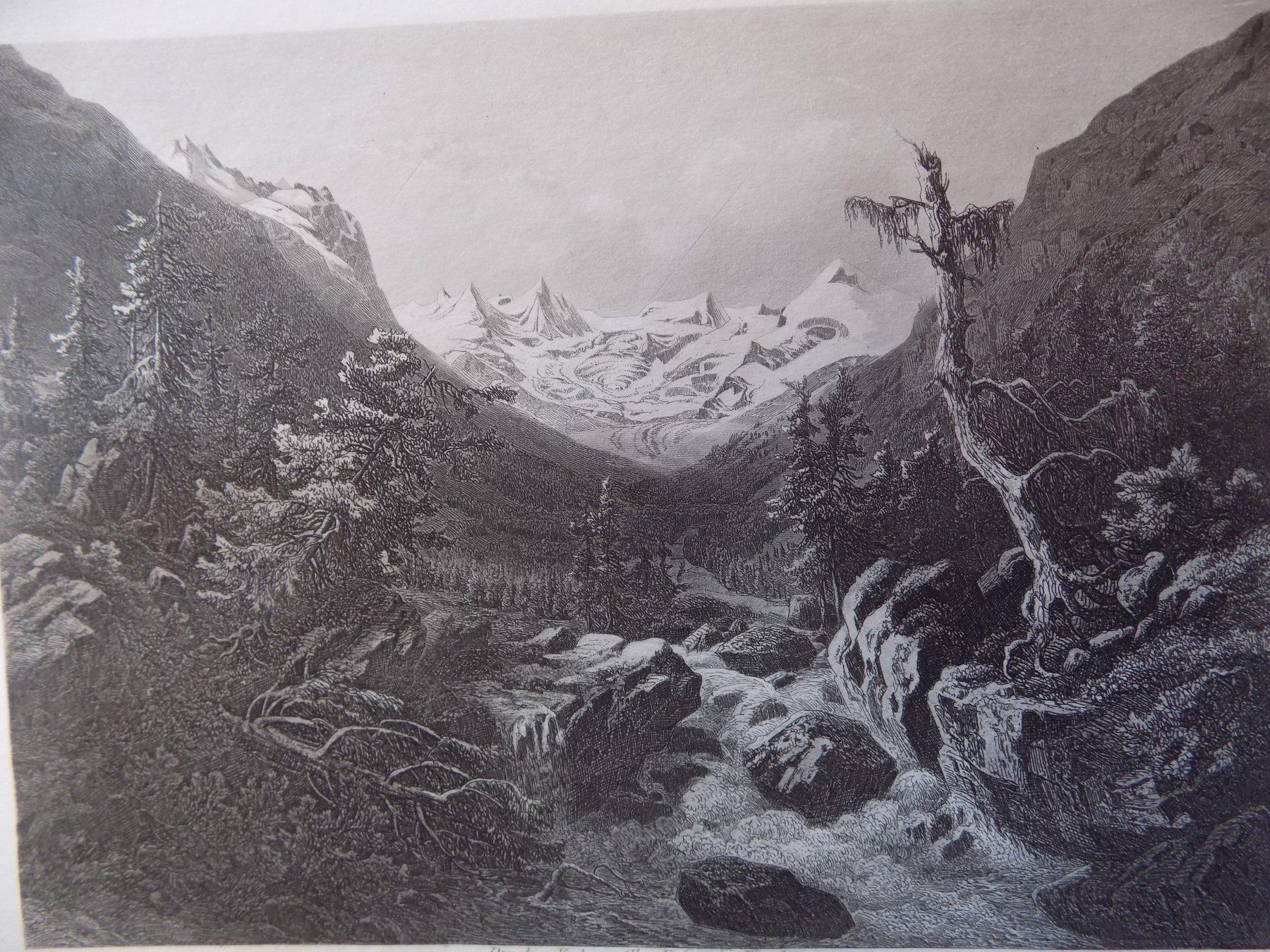 Incisioni: Der Roseg Gletscher – Usato da Risch venduto da Rischli15 1