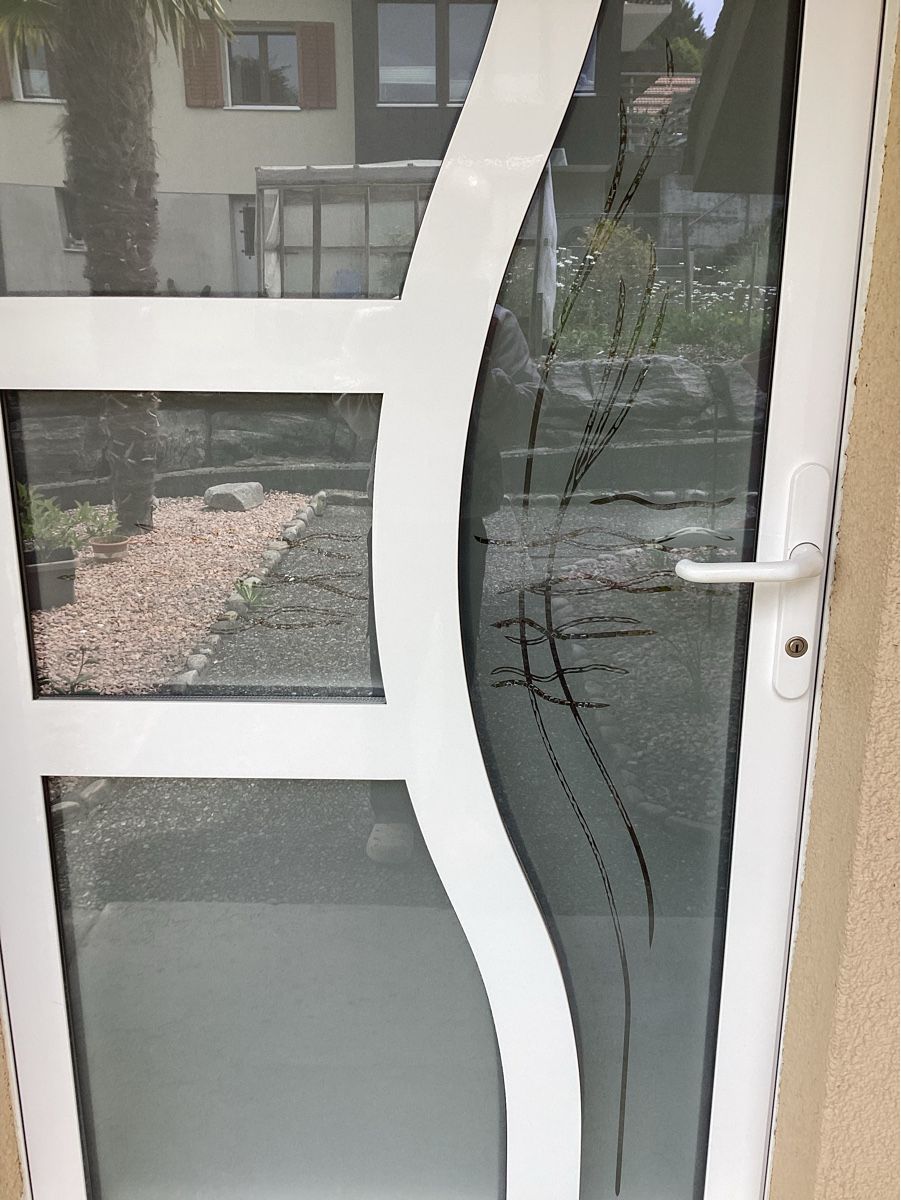 Porte: Graute Wohnungstür mit speziellem Glas – Usato da Oberthal venduto da weisseperle