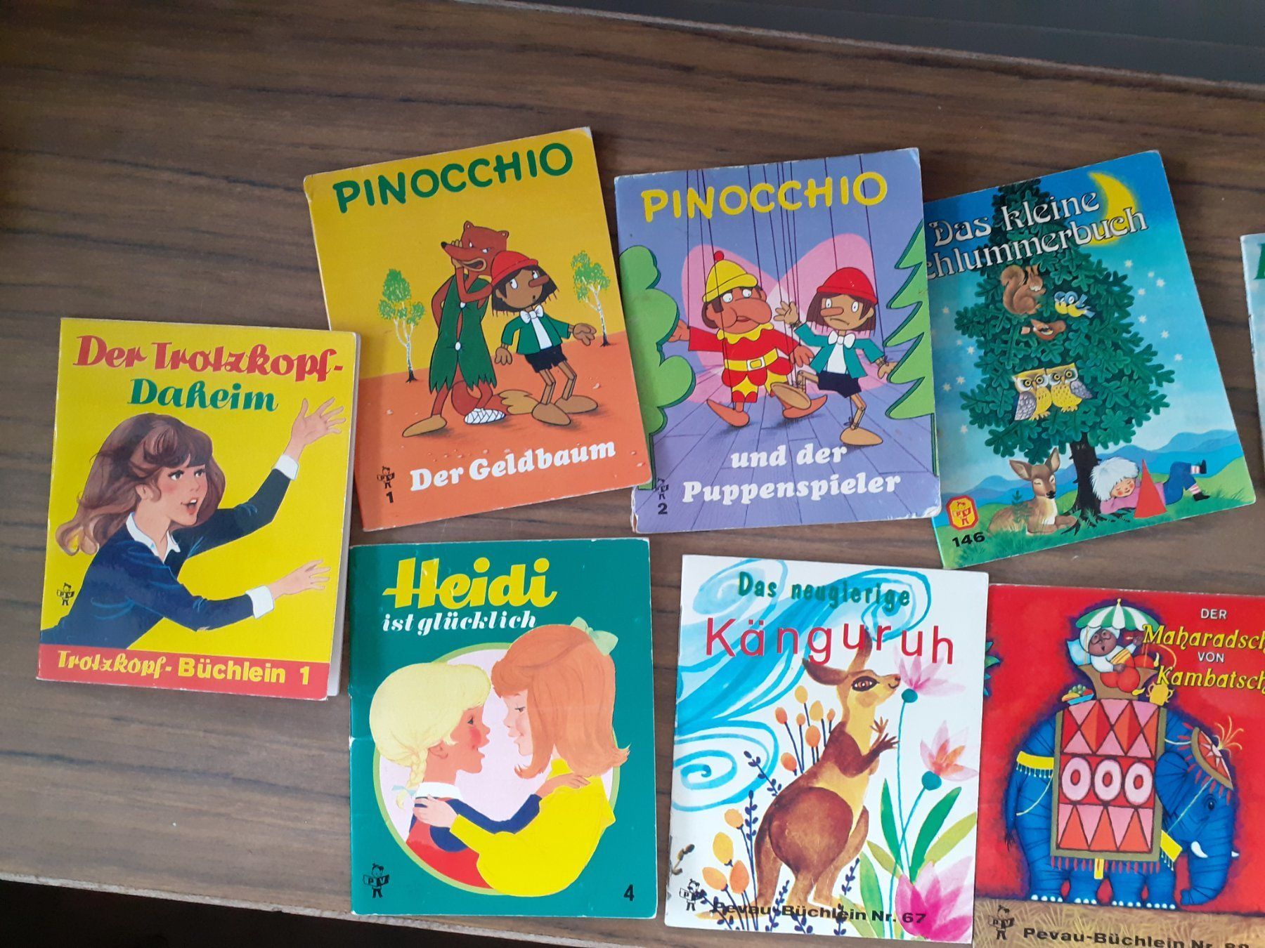 Libri: PV Büchlein 1970er - 15 Stück – Usato da Mörschwil venduto da lindaswunderkiste 5