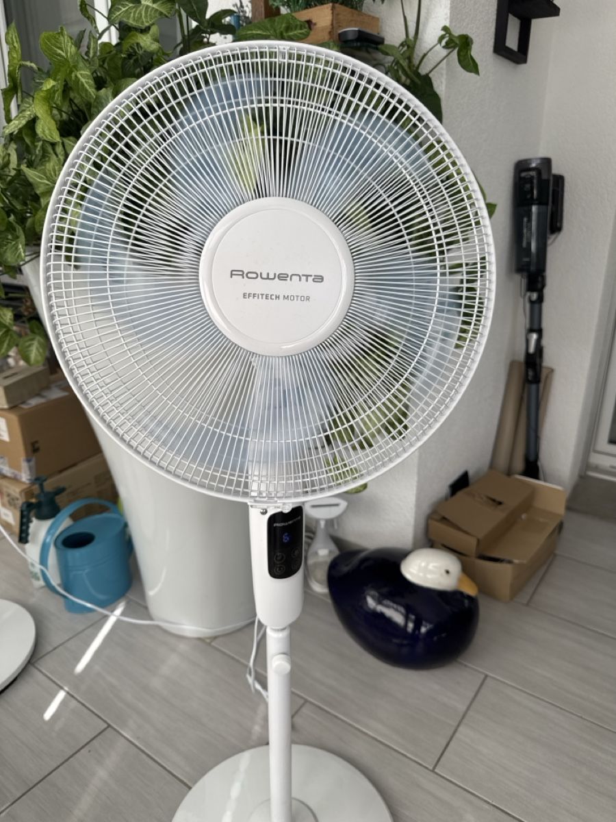 Rowenta Ventilatoren: Ventilator Rowenta – Neu (gemäss Beschreibung) aus Glattbrugg von prod01