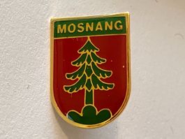 1 Pin Mosnang