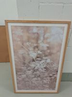 Naturbild Livique, 90x60, Glas, Eichholzrahmen
