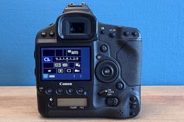 Canon EOS 1Dx | weniger als 38'000 Auslösungen