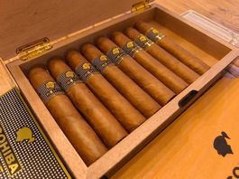 Cohiba Behike BHK 52 (2013 Einzelzigarren Aging / Vintage)