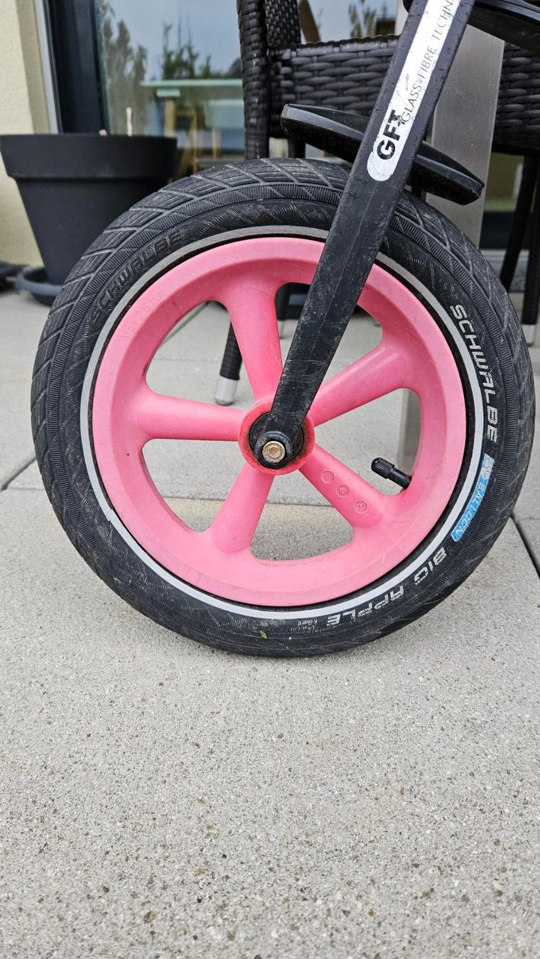 Fahrzeuge für Kinder: Draisienne First Bike limited Edition – Gebraucht aus Corminboeuf von JadeHill 3