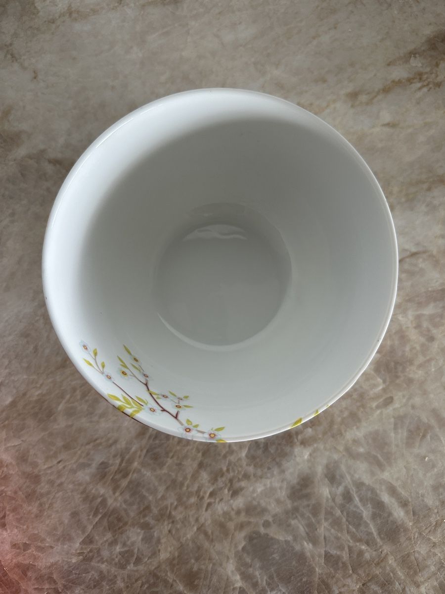 Pip Studio Ciotole: Pip Studio Schüssel Vogel Motiv – Usato da Kirchdorf AG venduto da cameoayiana 3