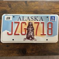 🇺🇸 U.S. Autoschild, Alaska JZG 718 - ORIGINAL 