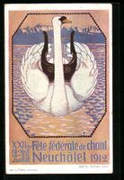 Neuchâtel, XXIIme Fête fedérale de ch