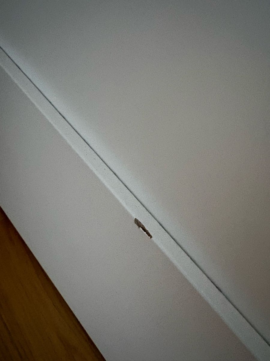 Letti: IKEA BRIMNES Bett – Usato da Zürich venduto da dor_lbq5 6