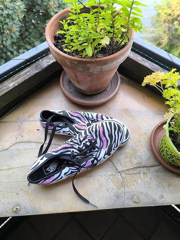 Scarpe da donna: Chaussure femme 40 Vans  – Usato da Estavayer-le-Lac venduto da cht_55s8 3