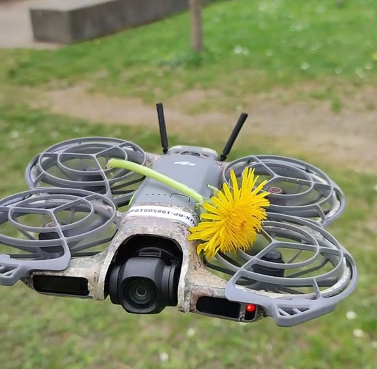 DJI RC Modellbau: Dji Neo 2 mit 3 Batterien  – Gebraucht aus Elgg von Olga_G 1