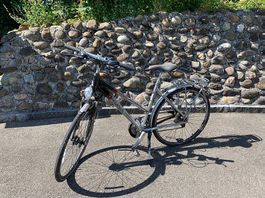 Velo Marke Pegasus