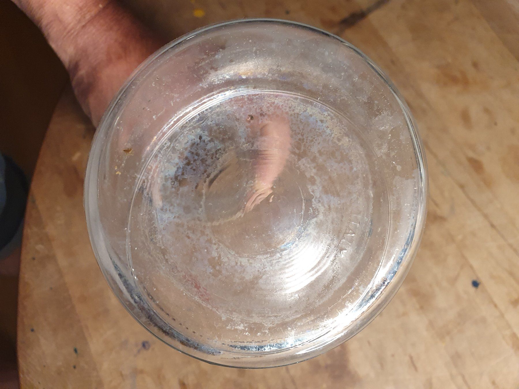 Karaffen: Wasserkarraffe 1L – Gebraucht aus Zürich von loosebone 4