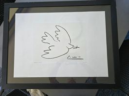 Paplo Picasso 1881-1978   67*87 cm