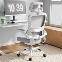 Bürostuhl ergonomisch Lordosenstütze Kopfstütze Grau