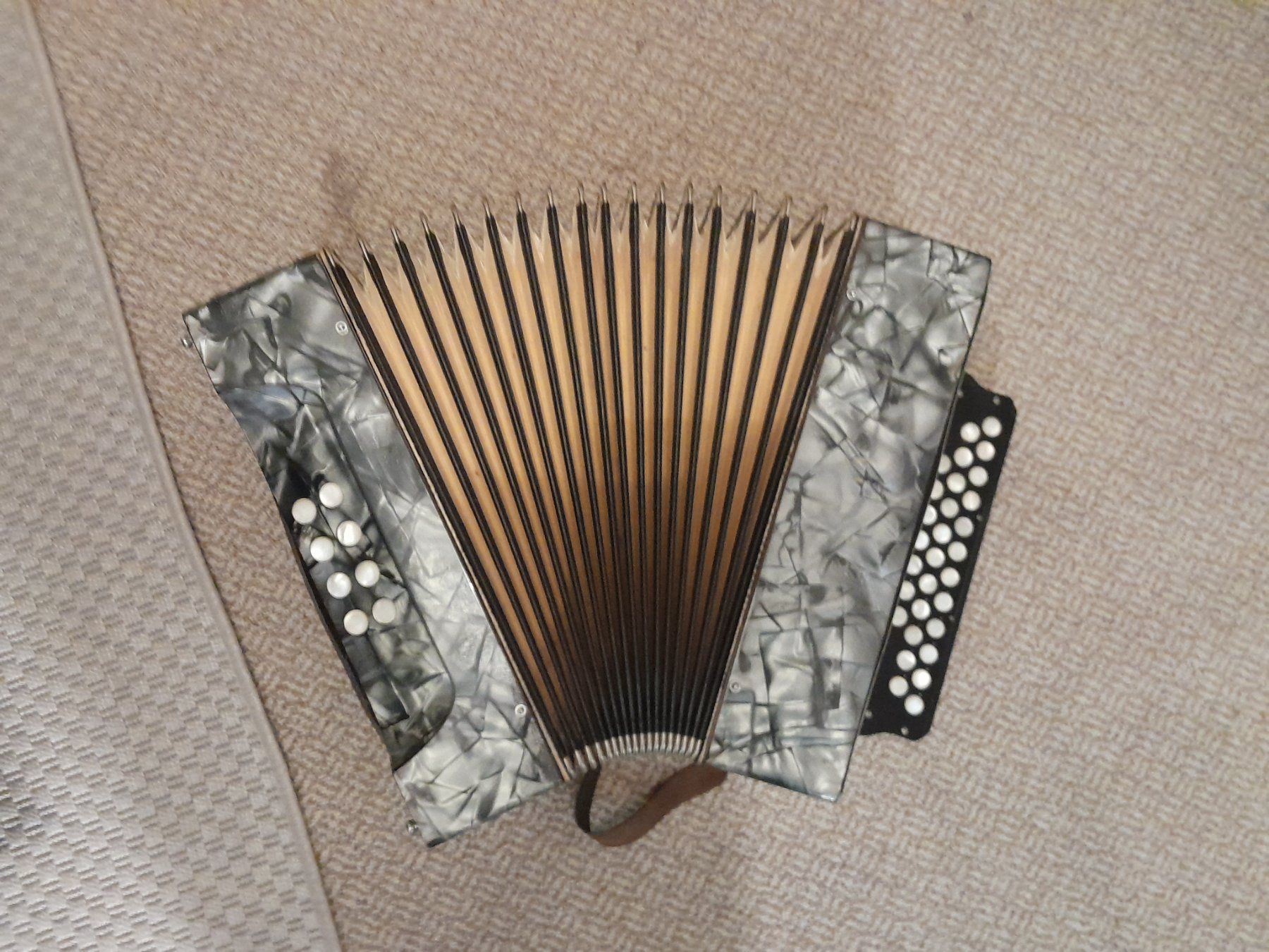 Strumenti musicali: Hohner Concertina Vineta – Usato da Tann venduto da Raqueldoo 2