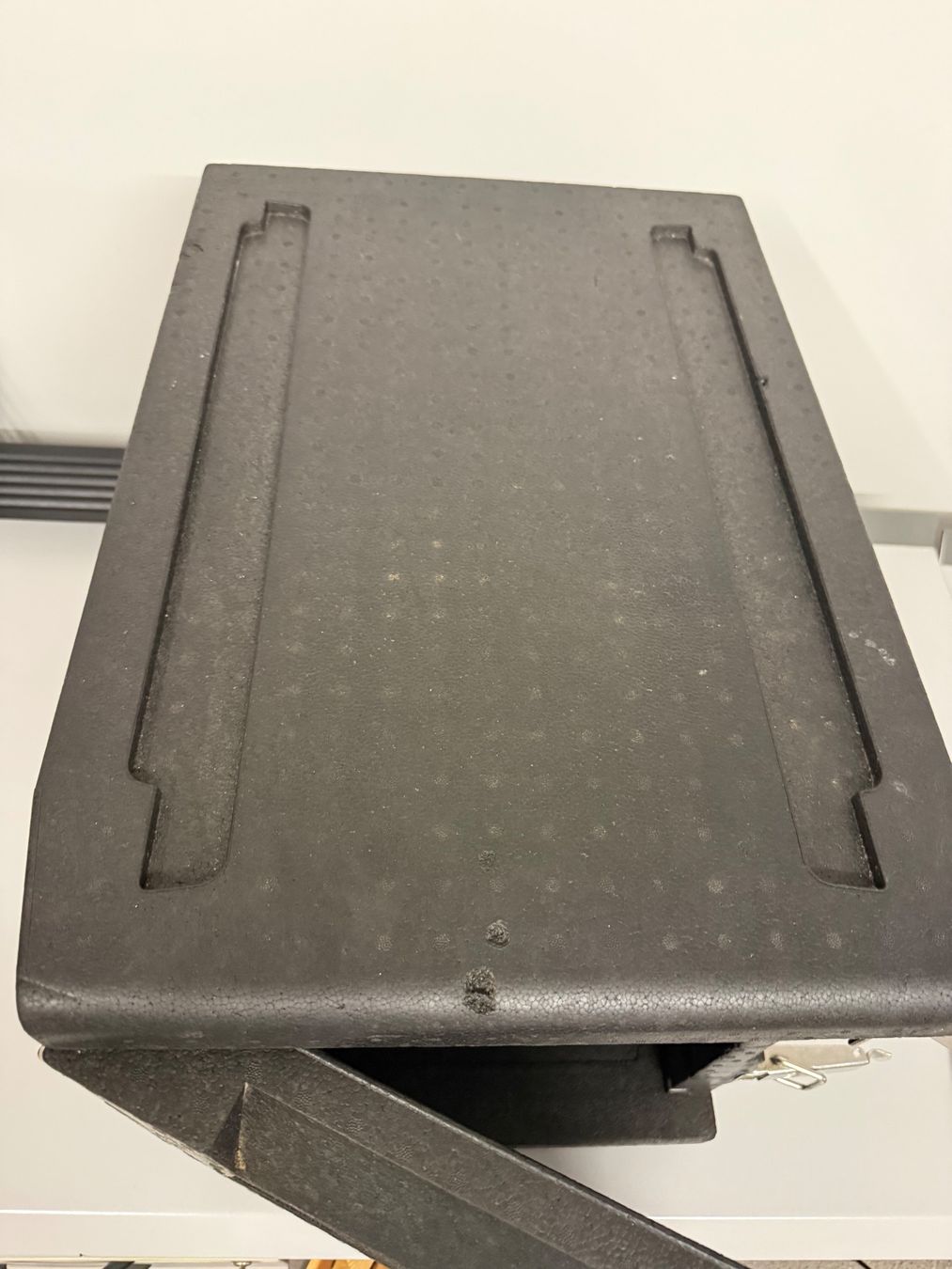 Frigoriferi & Refrigeratori: Thermo Future Box 65L Thermobox Gastro Isolierbox Catering – Usato da Altendorf venduto da Elenaneagu22 5