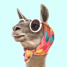 Profile image of fabcav