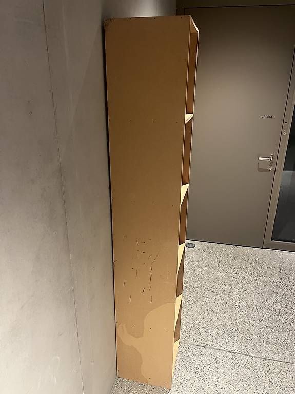 Regale: Plattenregal Horzon  – Gebraucht aus Zürich von kat_k9kf 1
