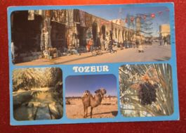 Tunesien Tunisie Tozeur 1990
