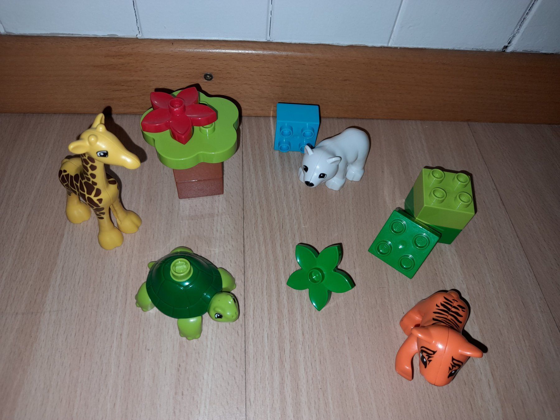 Lego Giocattoli: Lego Duplo Jungtiere 10801 – Usato da Wittenbach venduto da Gugielmo 2