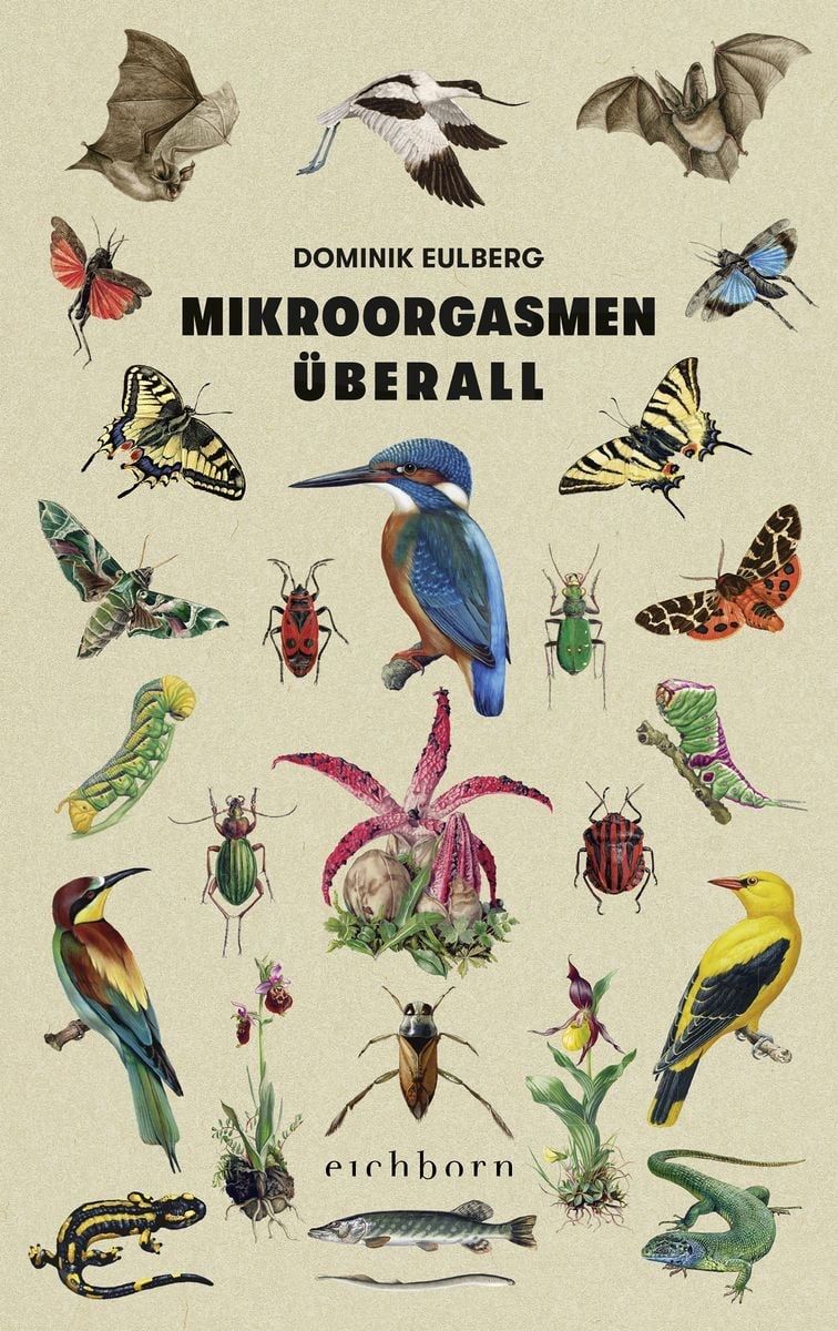 Bücher: Mikroorgasmen überall – Gebraucht aus Kriens von Neffski