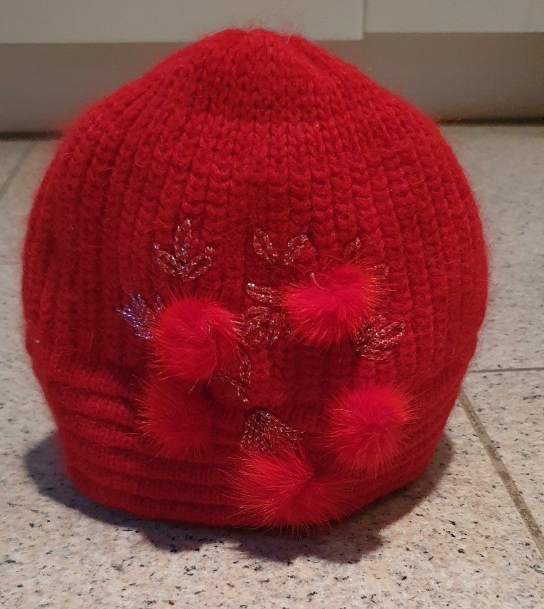 Chapeaux, bonnets & casquettes: Warme rote Mütze – Neuf (Voir description) à Unterentfelden par LookoutMt 2