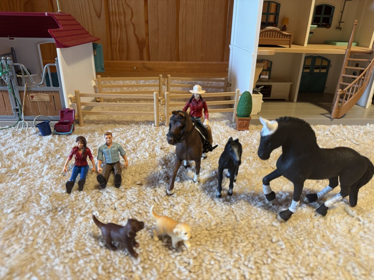 Schleich Spielzeuge: Schleich – Gebraucht aus Seewen So von cha_86pv 1