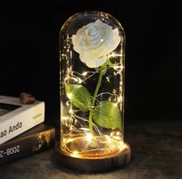 Rose in Glas Abdeckung Valentinstag Hochzeit Geburtstag Deko