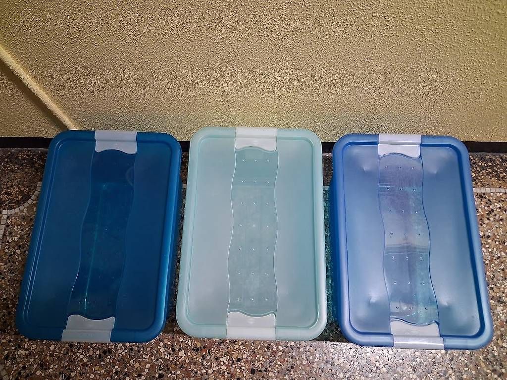 Casse di trasporto: Caisses de rangement empilable bleu "lot de 3" – Usato da Genève venduto da Bell-47 1